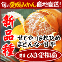 産地直送！愛媛みかん専門店「のま果樹園」